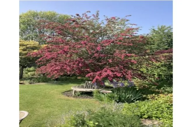 West Park, Butleigh, BA6, photo 13