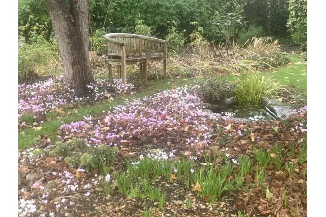 West Park, Butleigh, BA6, photo 9