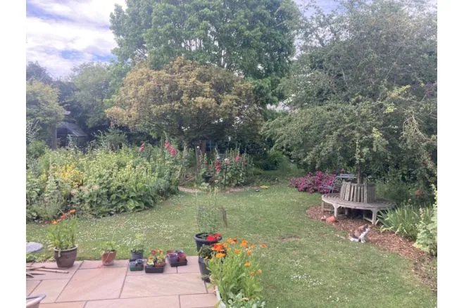 West Park, Butleigh, BA6, photo 29