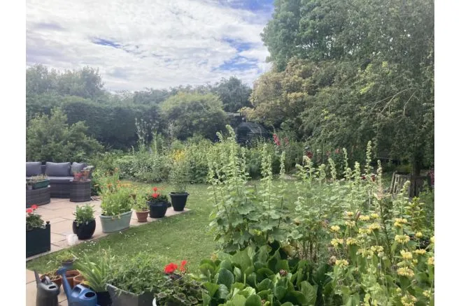West Park, Butleigh, BA6, photo 11