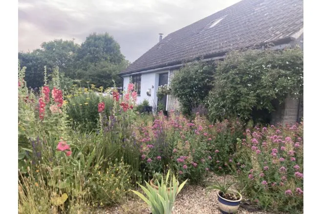 West Park, Butleigh, BA6, photo 32