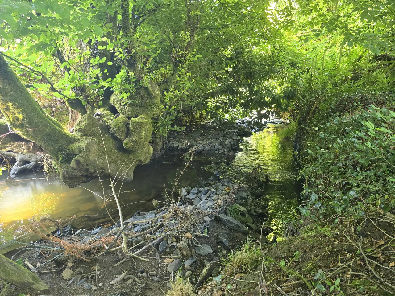 Roborough, Winkleigh, EX19, photo 12