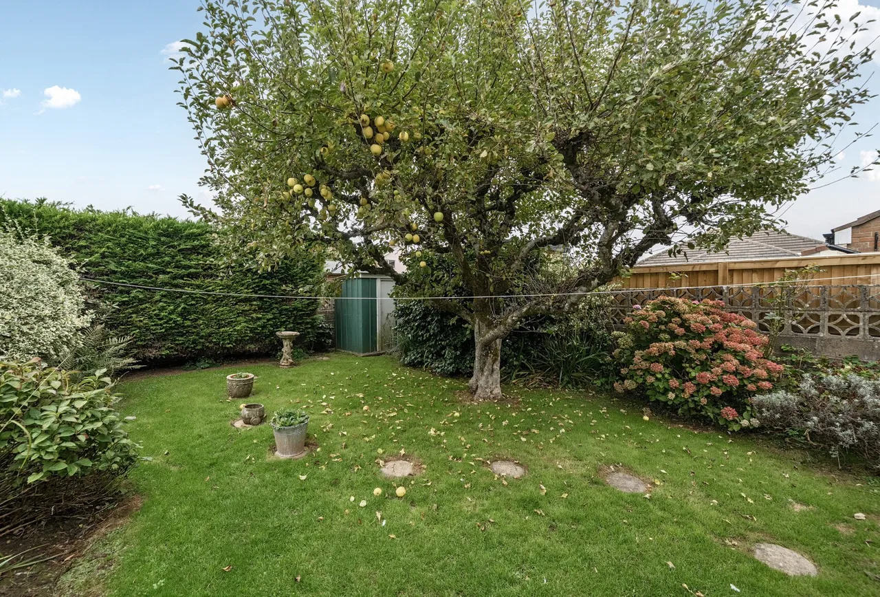 Millfield, Somerset, Midsomer Norton, BA3 2PG, photo 7