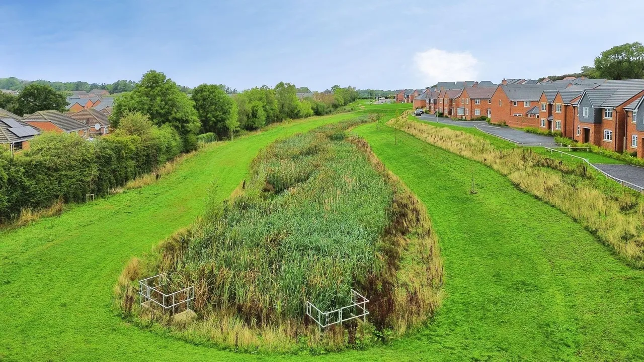 William Barber Meadow, Priorslee, TF2, photo 22