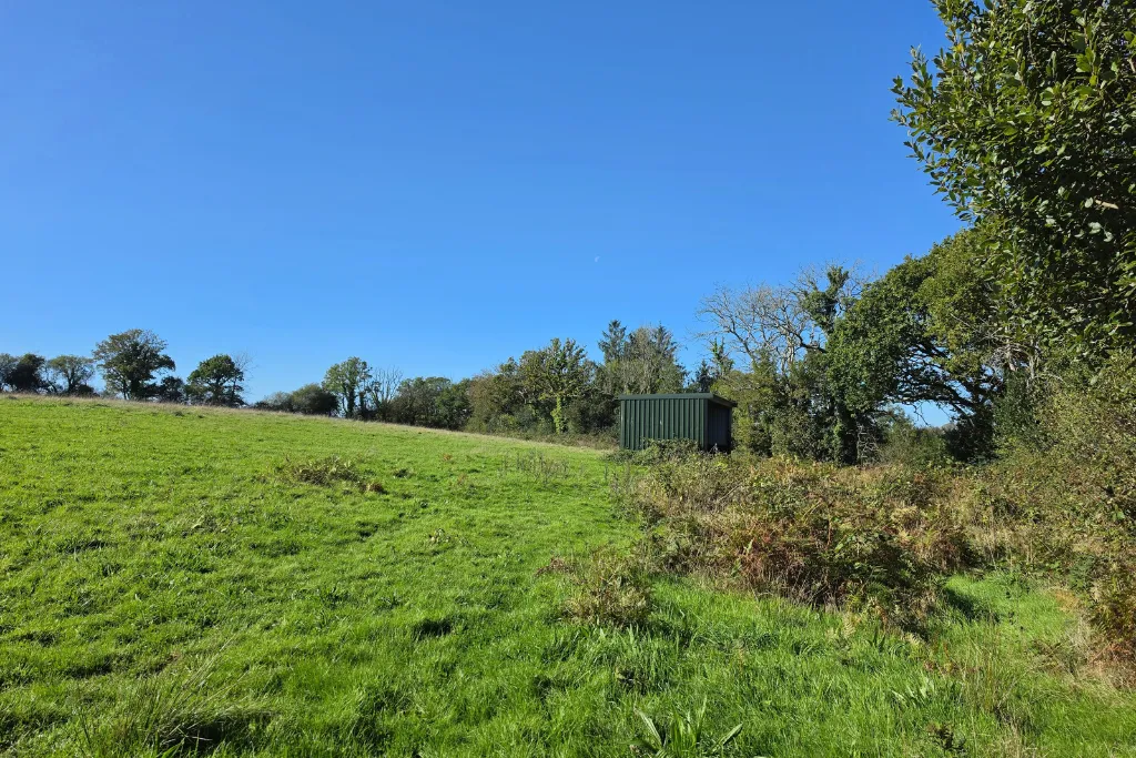 Meidrim, Carmarthen, SA33, photo 46