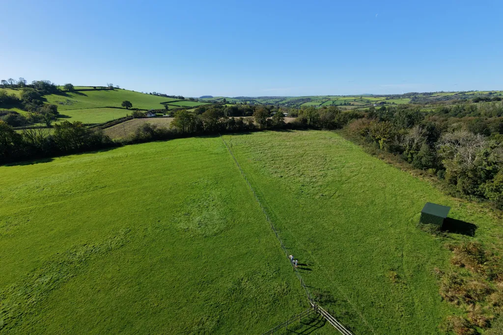 Meidrim, Carmarthen, SA33, photo 49