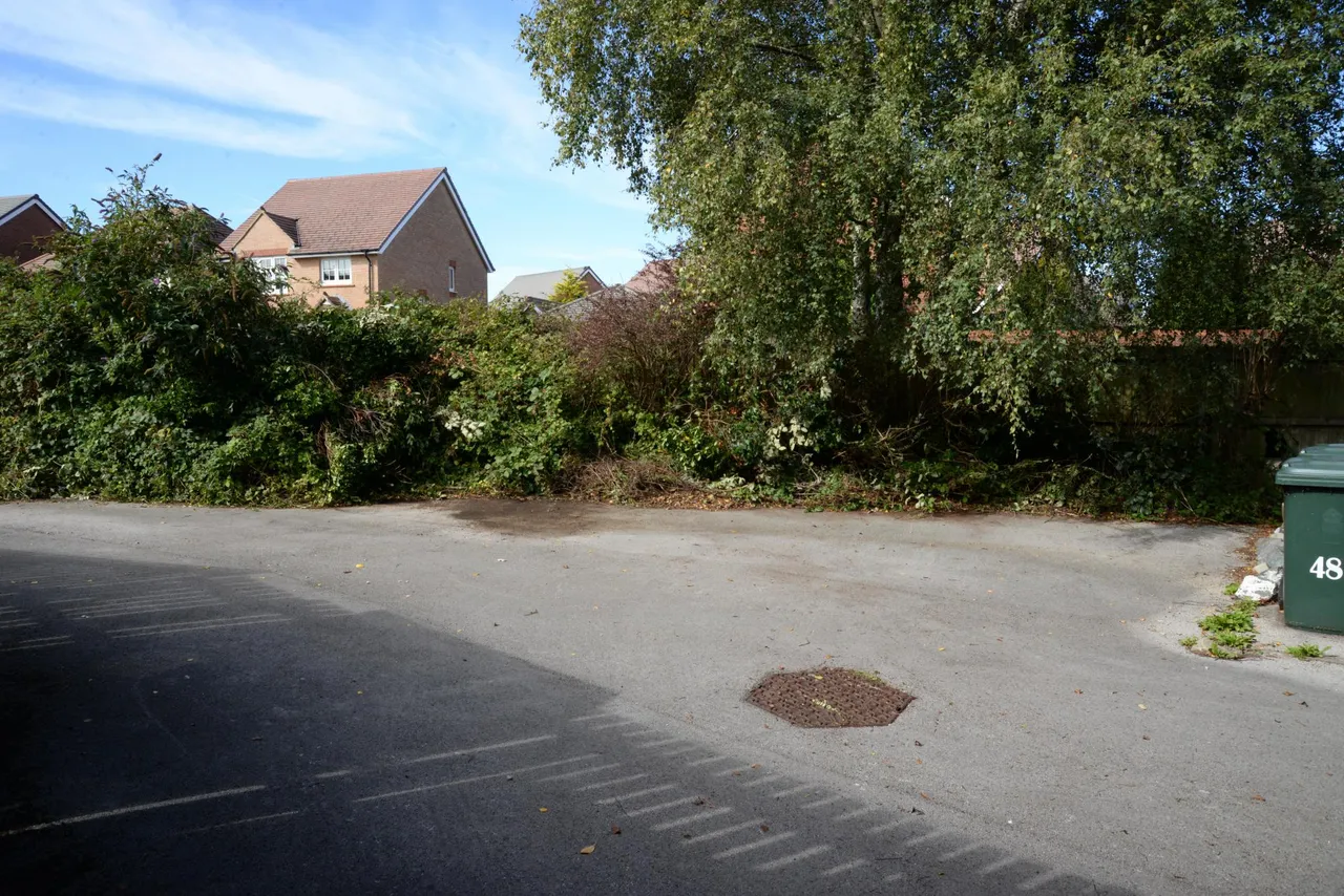 Cowdrey Mews, Lancaster, LA1, photo 12