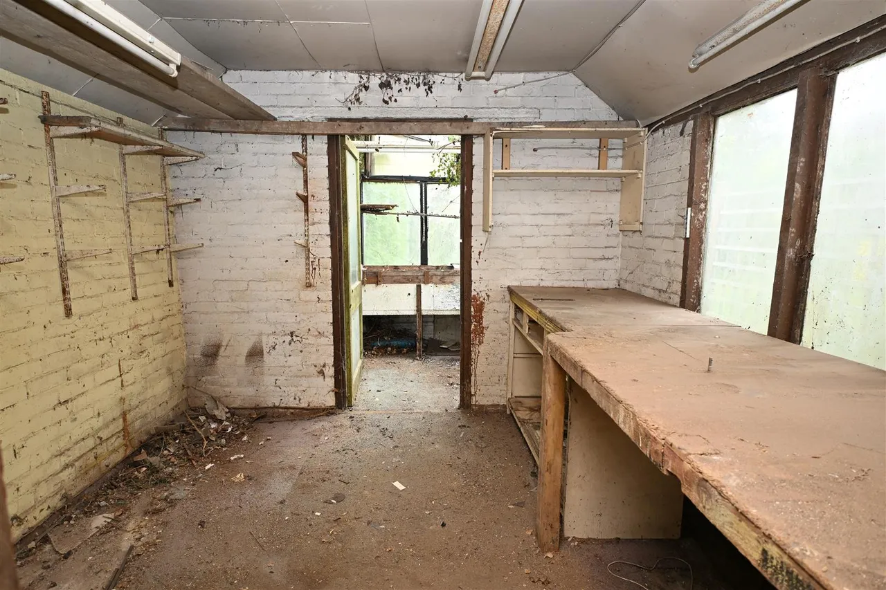 Park Avenue, Old Basing, photo 27