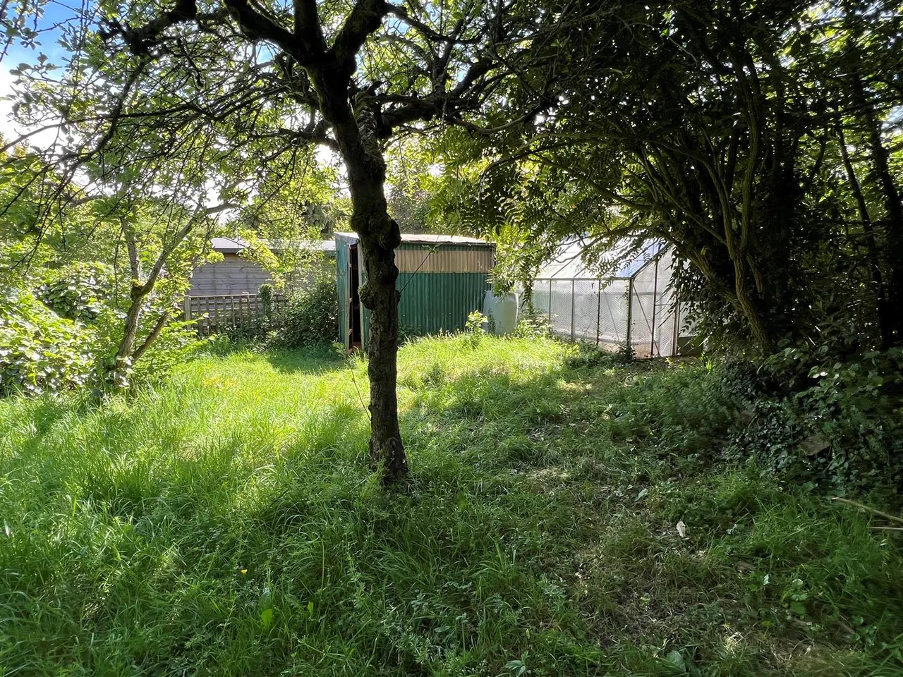 Park Avenue, Old Basing, photo 22