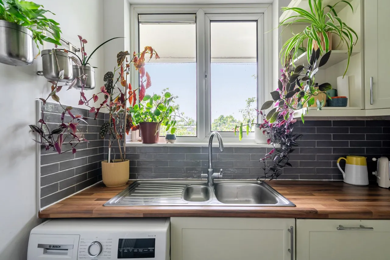 Elmworth Grove, SE21, photo 17