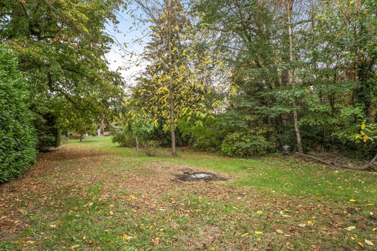 Swanston Field, Whitchurch-On-Thames, RG8, photo 19