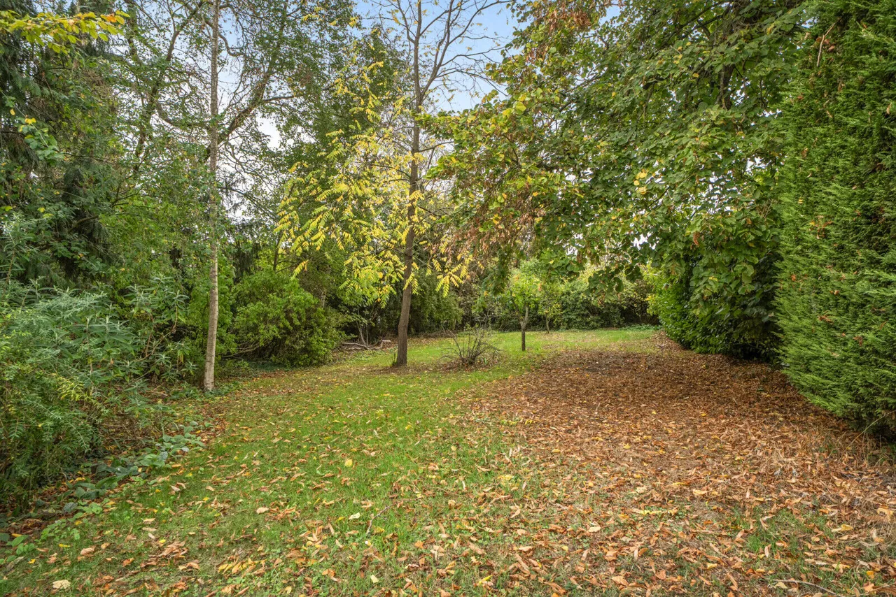 Swanston Field, Whitchurch-On-Thames, RG8, photo 21
