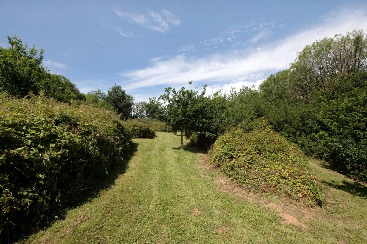 Pillaton, Saltash, PL12, photo 28
