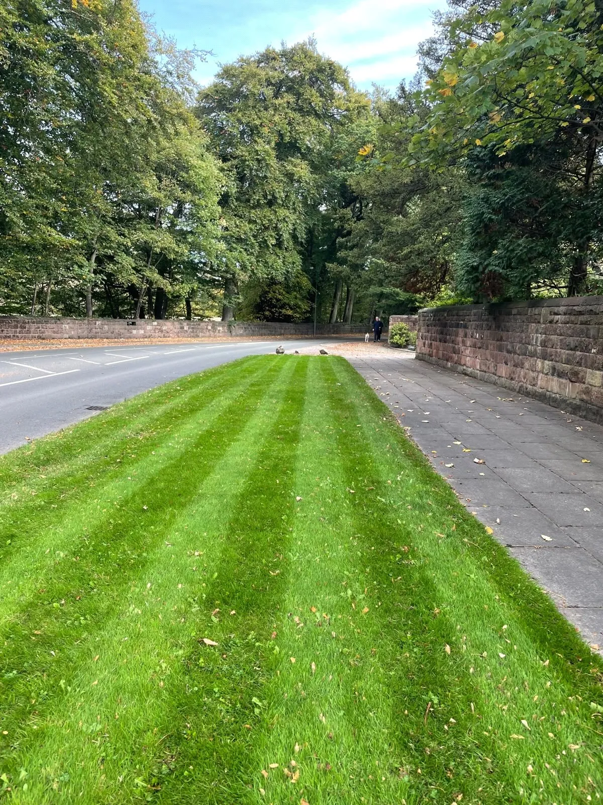 Yew Tree Road, Allerton, L18, photo 37