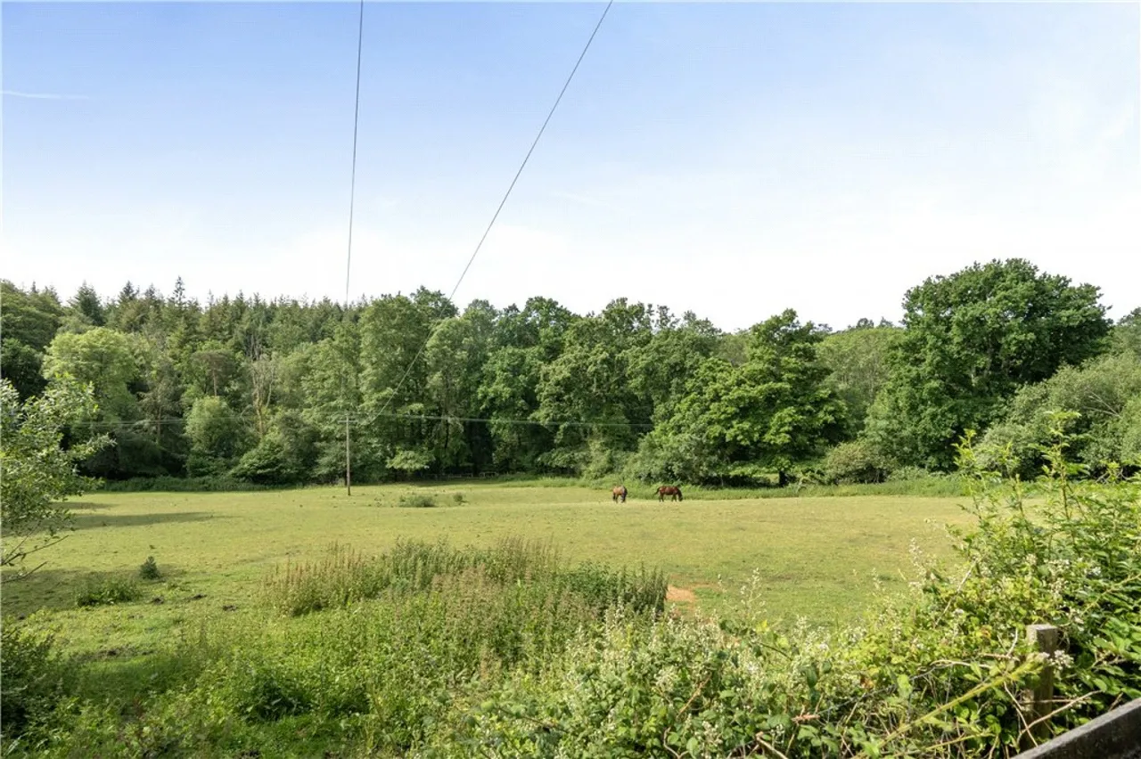 Ringwood Road, Stoney Cross, SO43, photo 2