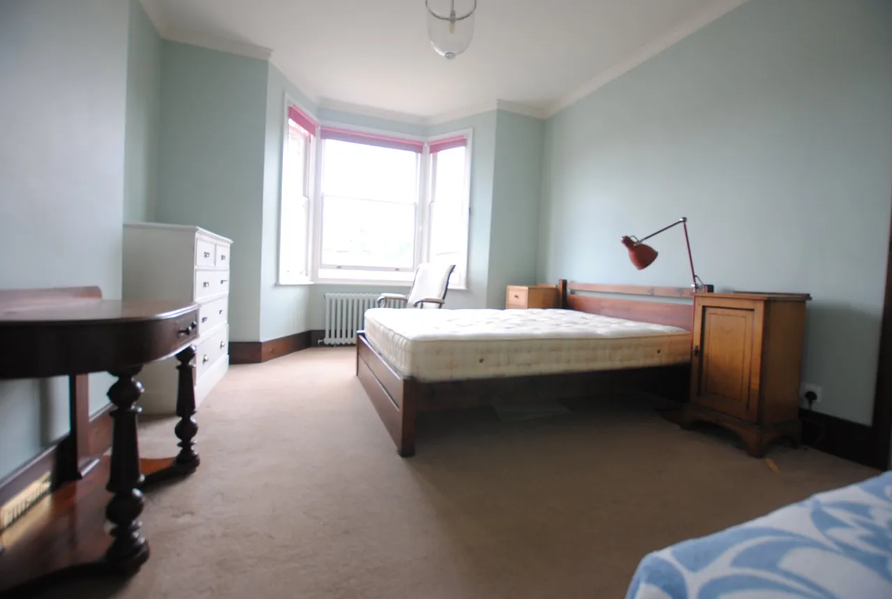 Wellmeadow Road, Catford, London, SE6 1HP, photo 13