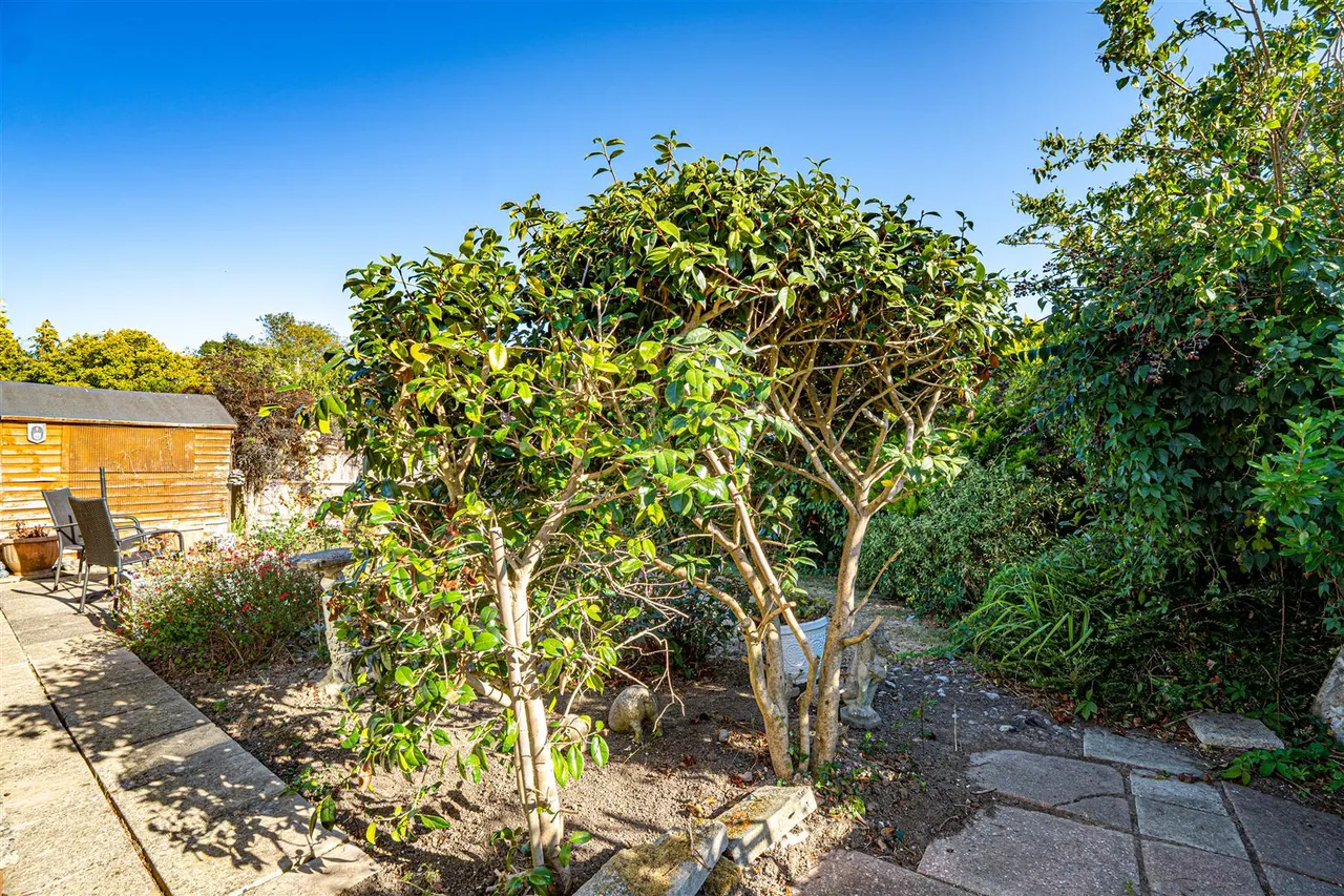 Willowbed Walk, Hastings, photo 12