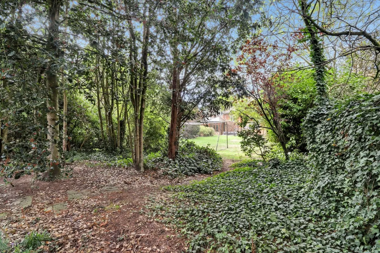 Westbury Road, Bromley, BR1, photo 20