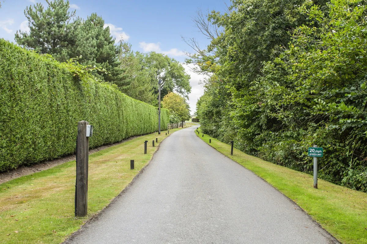 Chobham Park Lane, Chobham Woking, GU24, photo 29