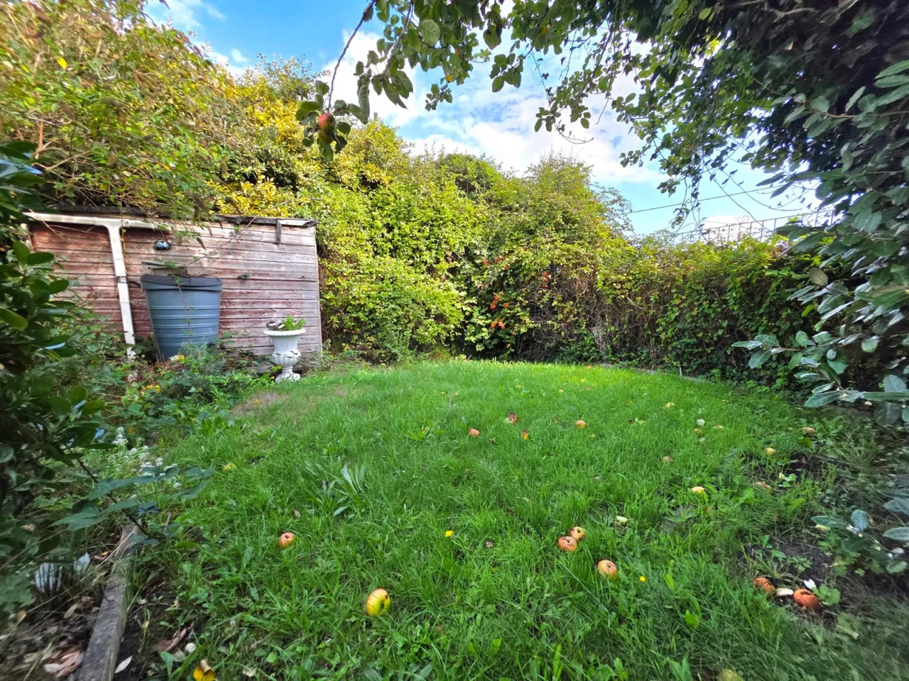 Pinewood Way, Brean, TA8, photo 18