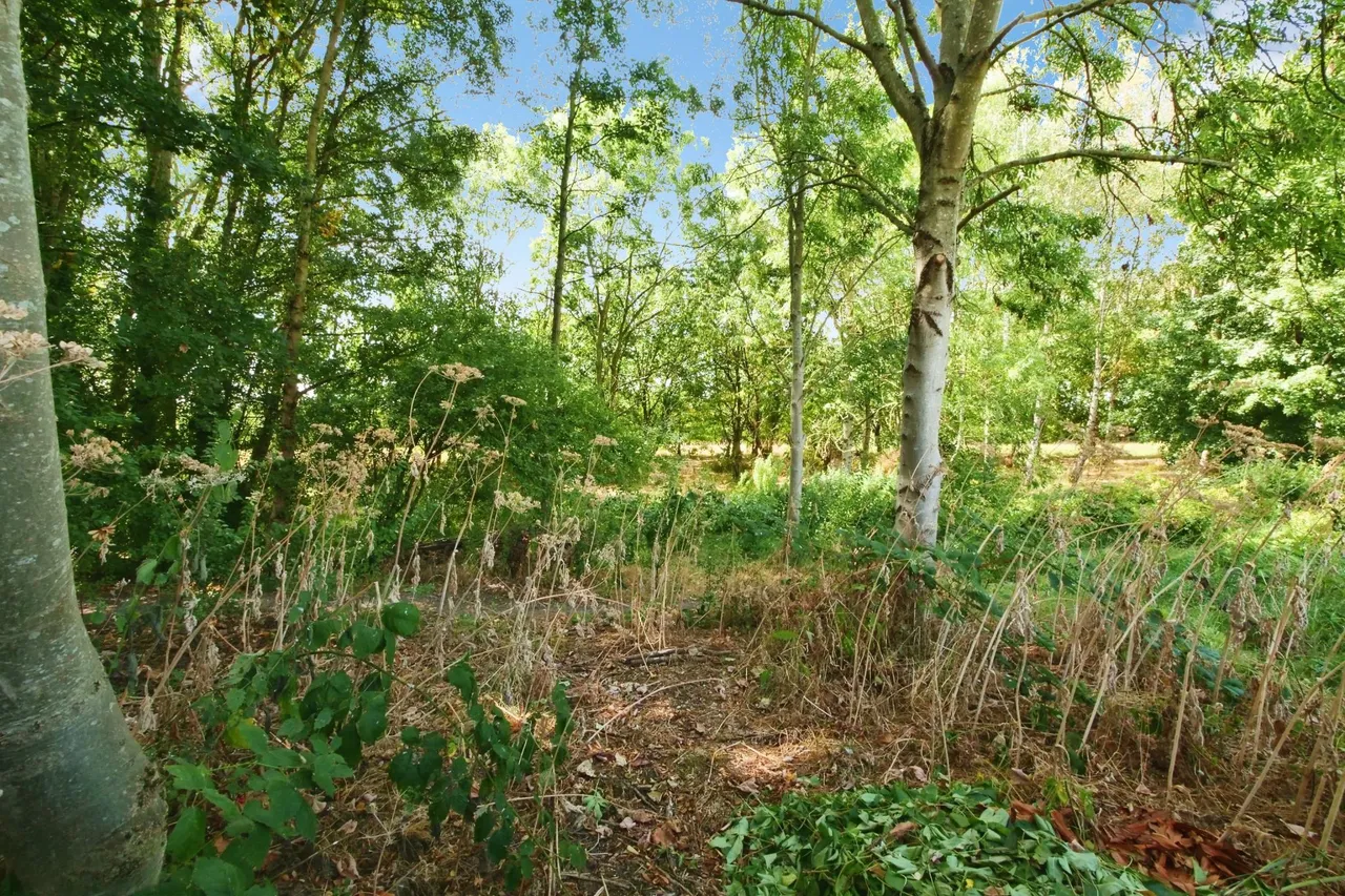 Linden Close, York, YO32, photo 14
