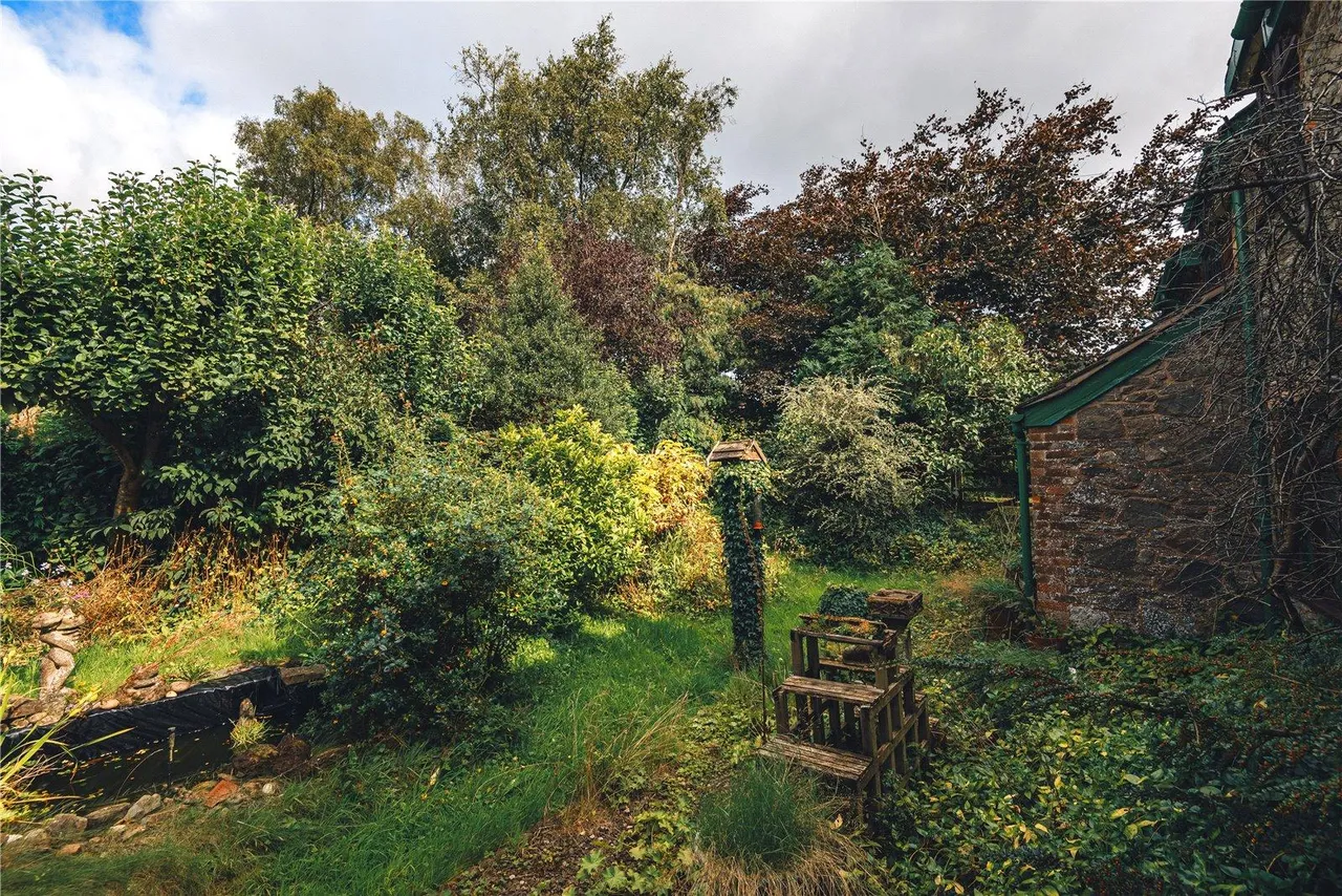 Black Hill, Clunton, photo 26