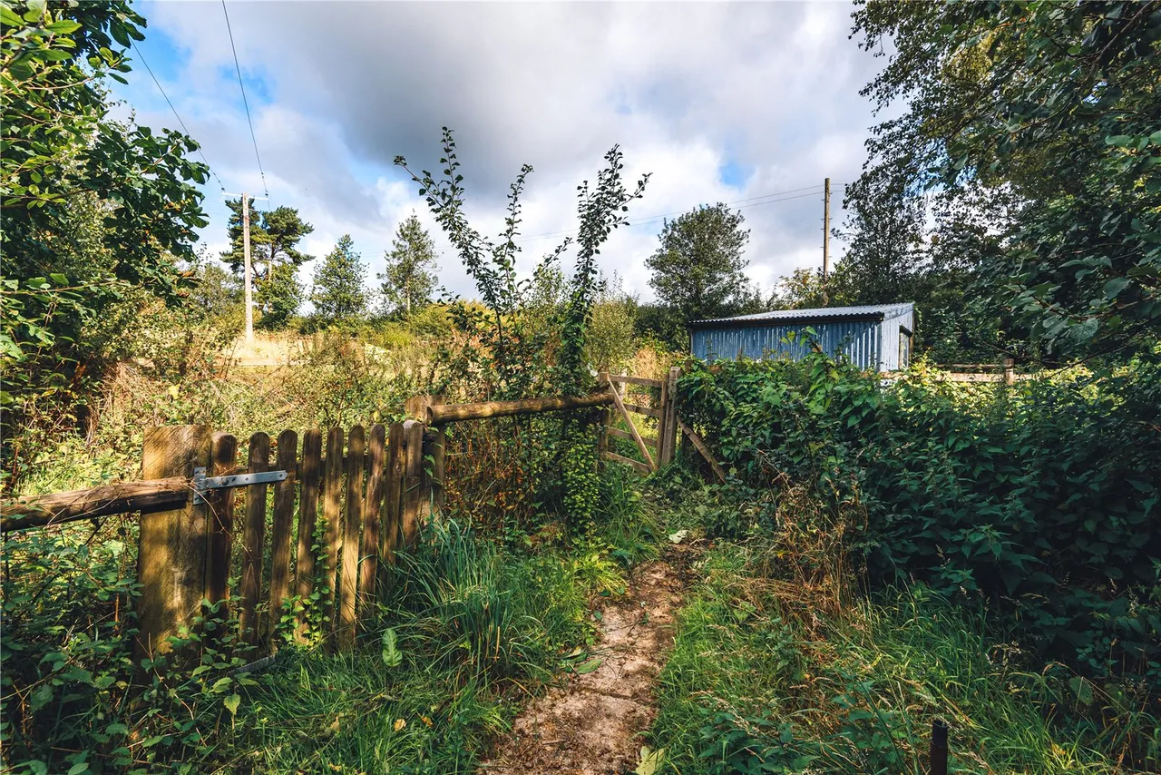 Black Hill, Clunton, photo 29
