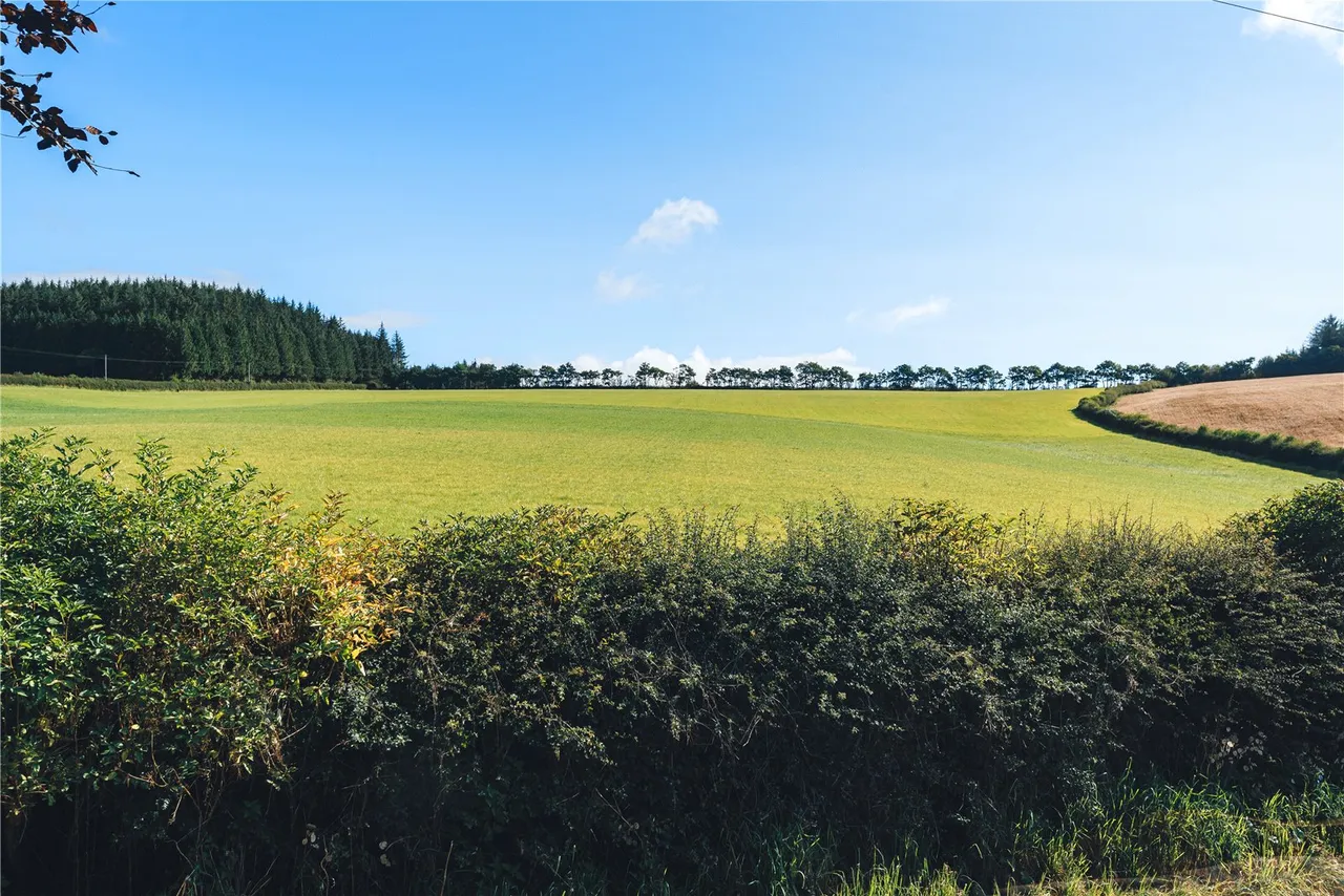 Black Hill, Clunton, photo 21