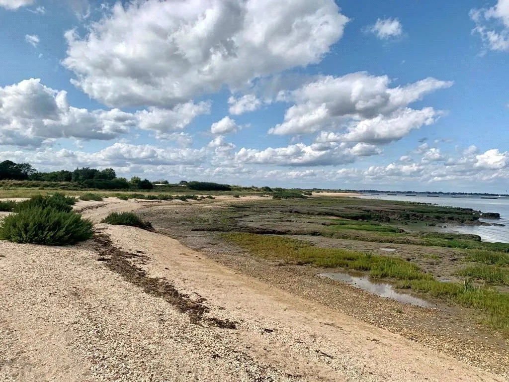 Eastland Meadow Country Park, Southminster, CM0, photo 10