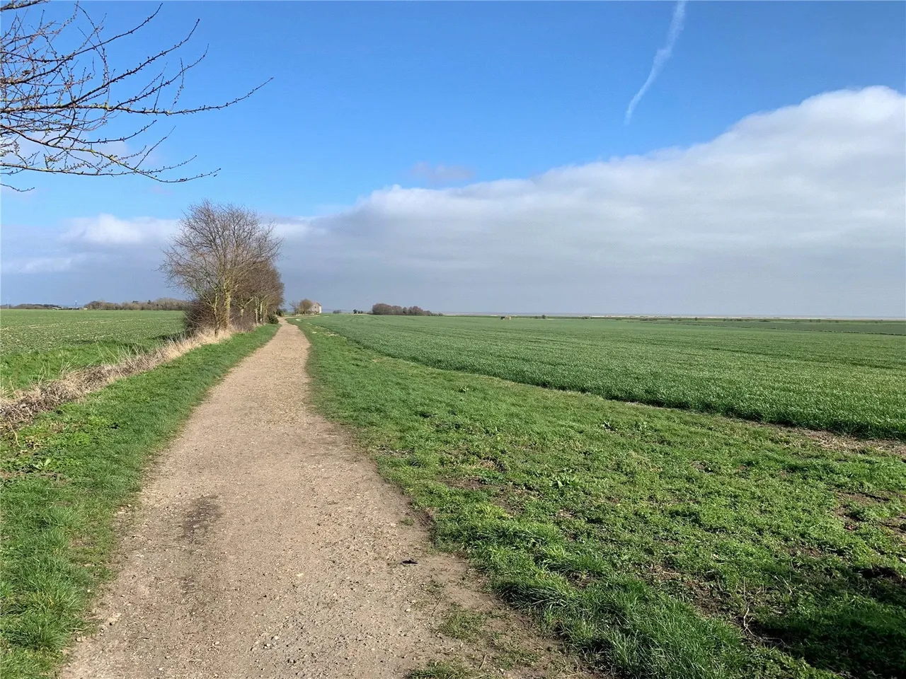 Eastland Meadow Country Park, Southminster, CM0, photo 9