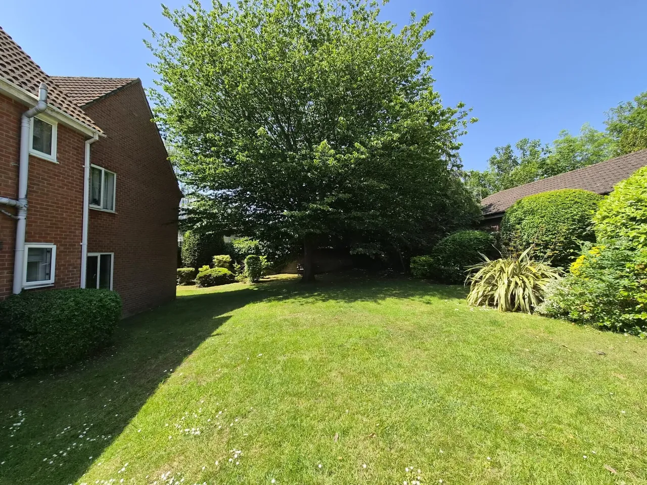 Westwood Road, Southampton, SO17, photo 7