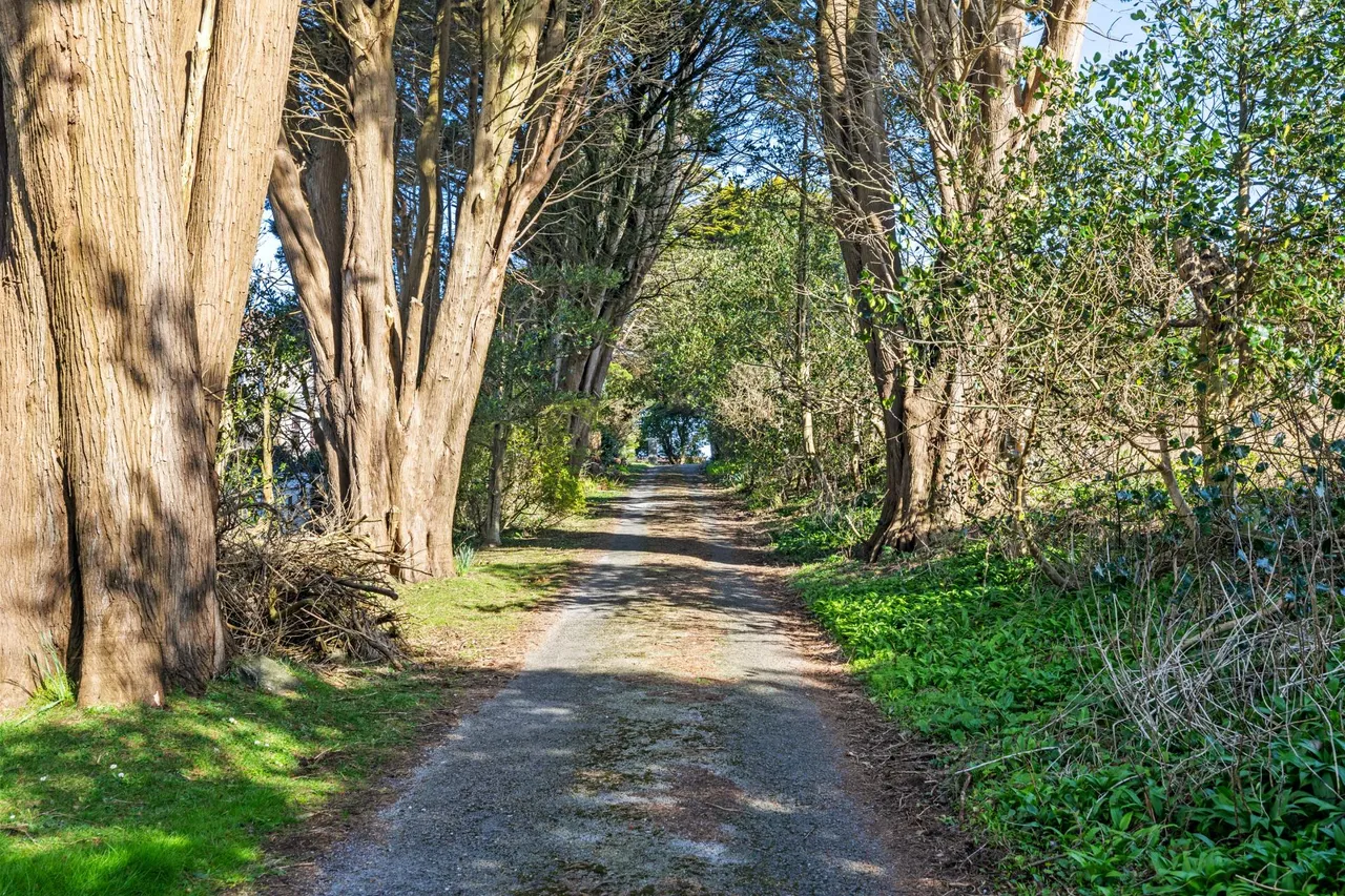 Higher Lane, Langland, Swansea, SA3, photo 3