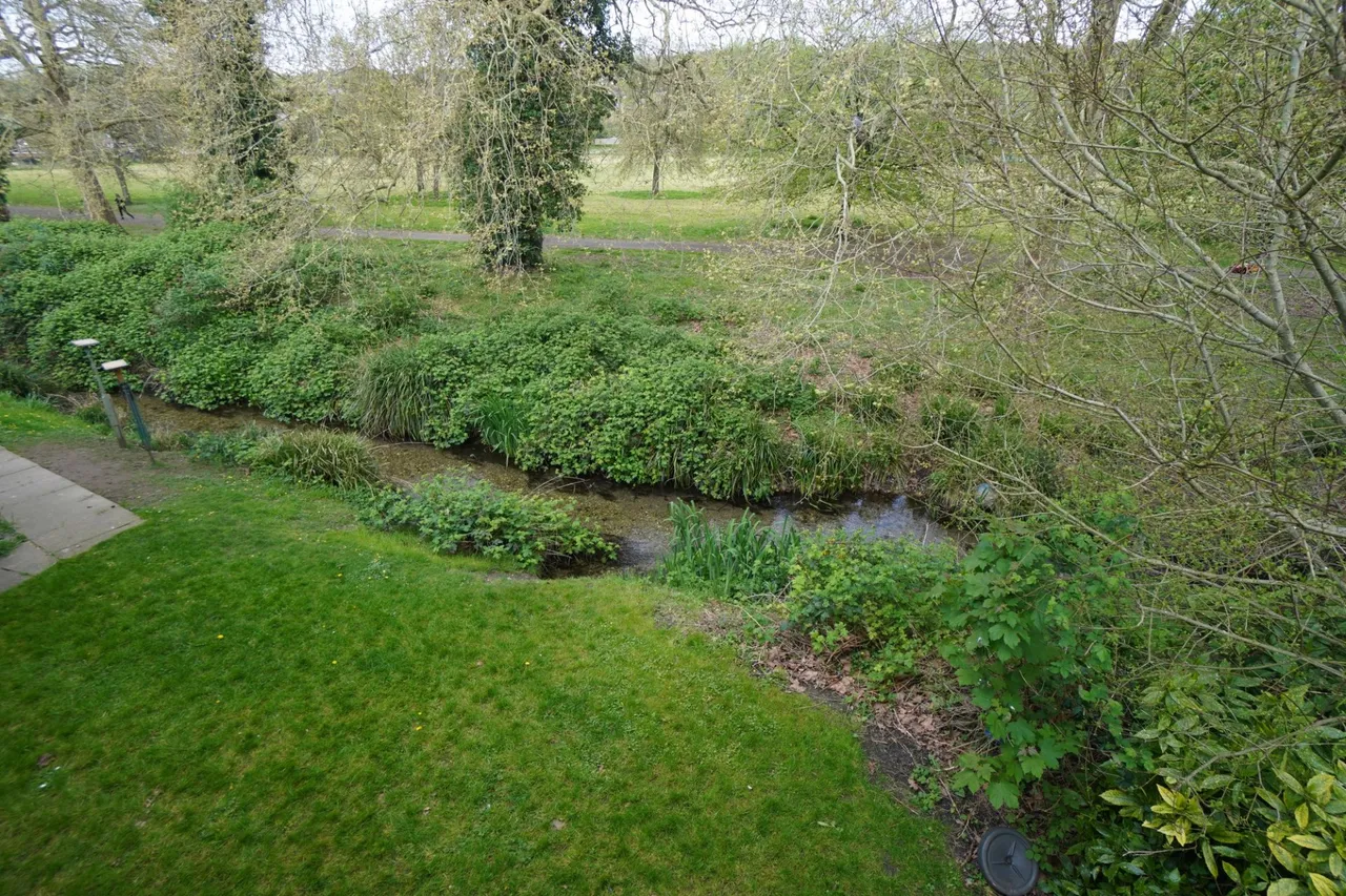 Eaton Avenue, High Wycombe, HP12, photo 7
