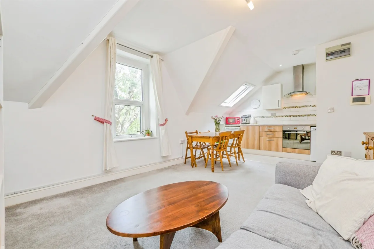 Princes Street, Roath, CF24, photo 14