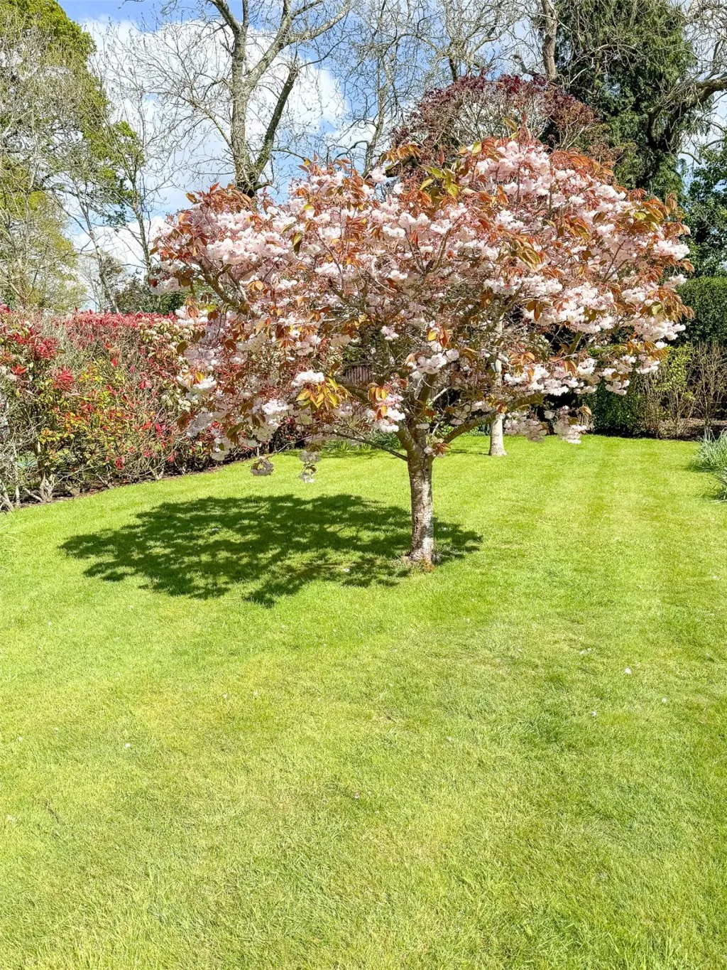 Wootton, New Milton, photo 23