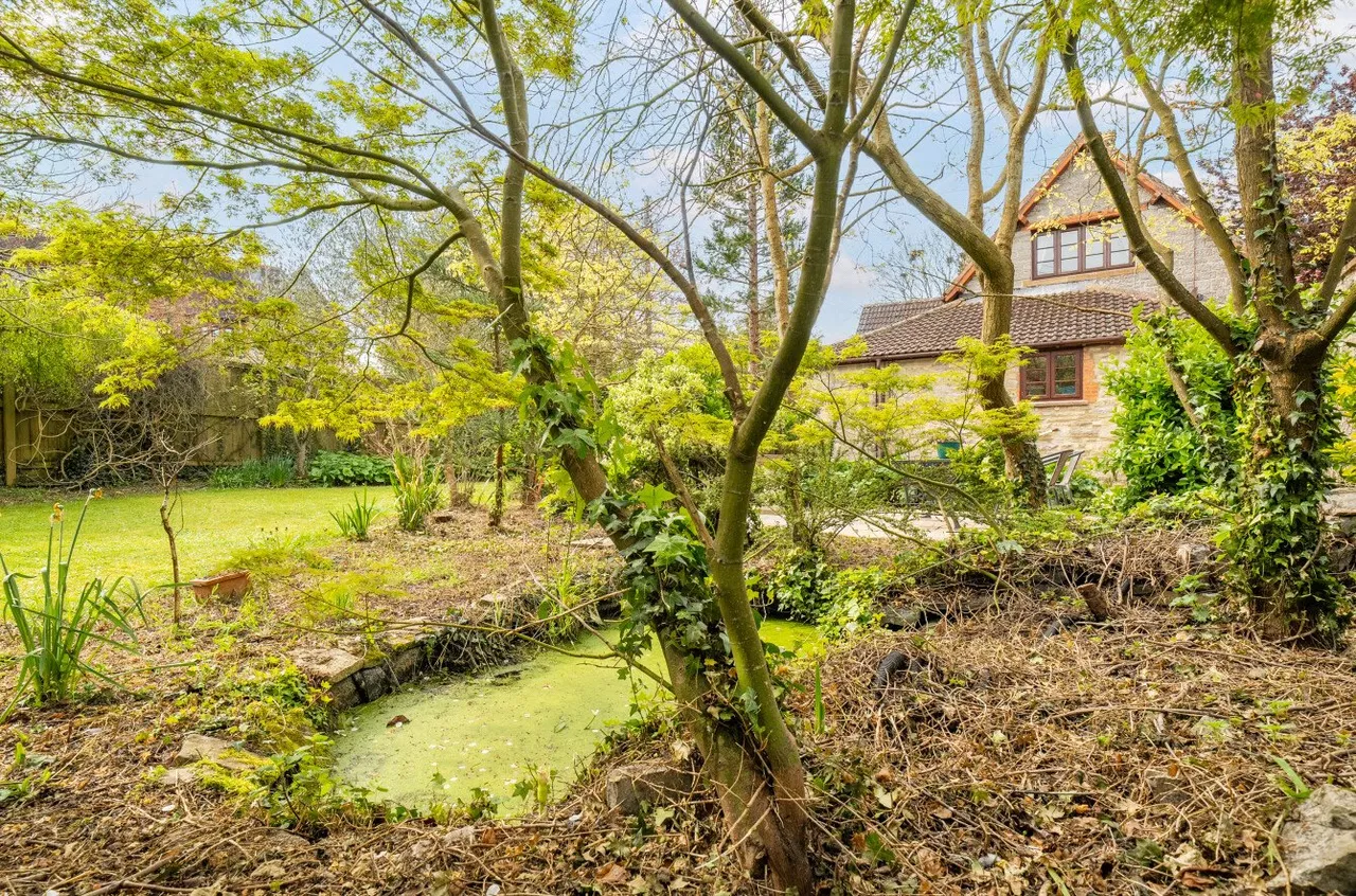 Stockland Bristol, Bridgwater, Somerset, TA5 2PZ, photo 22