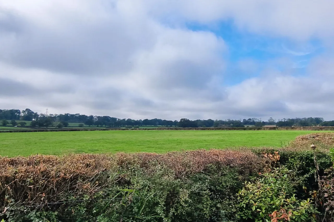 Hambledon, Hampshire, photo 34