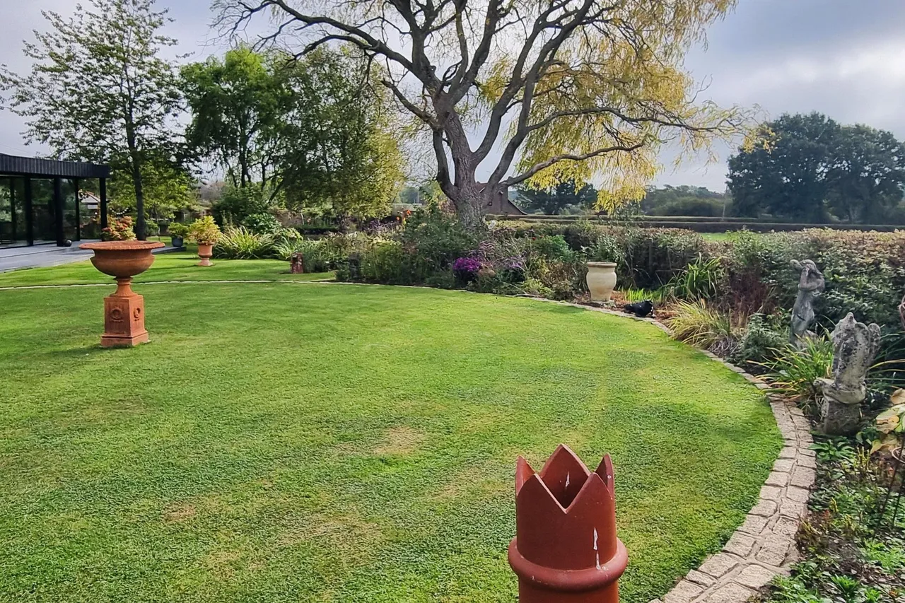 Hambledon, Hampshire, photo 33