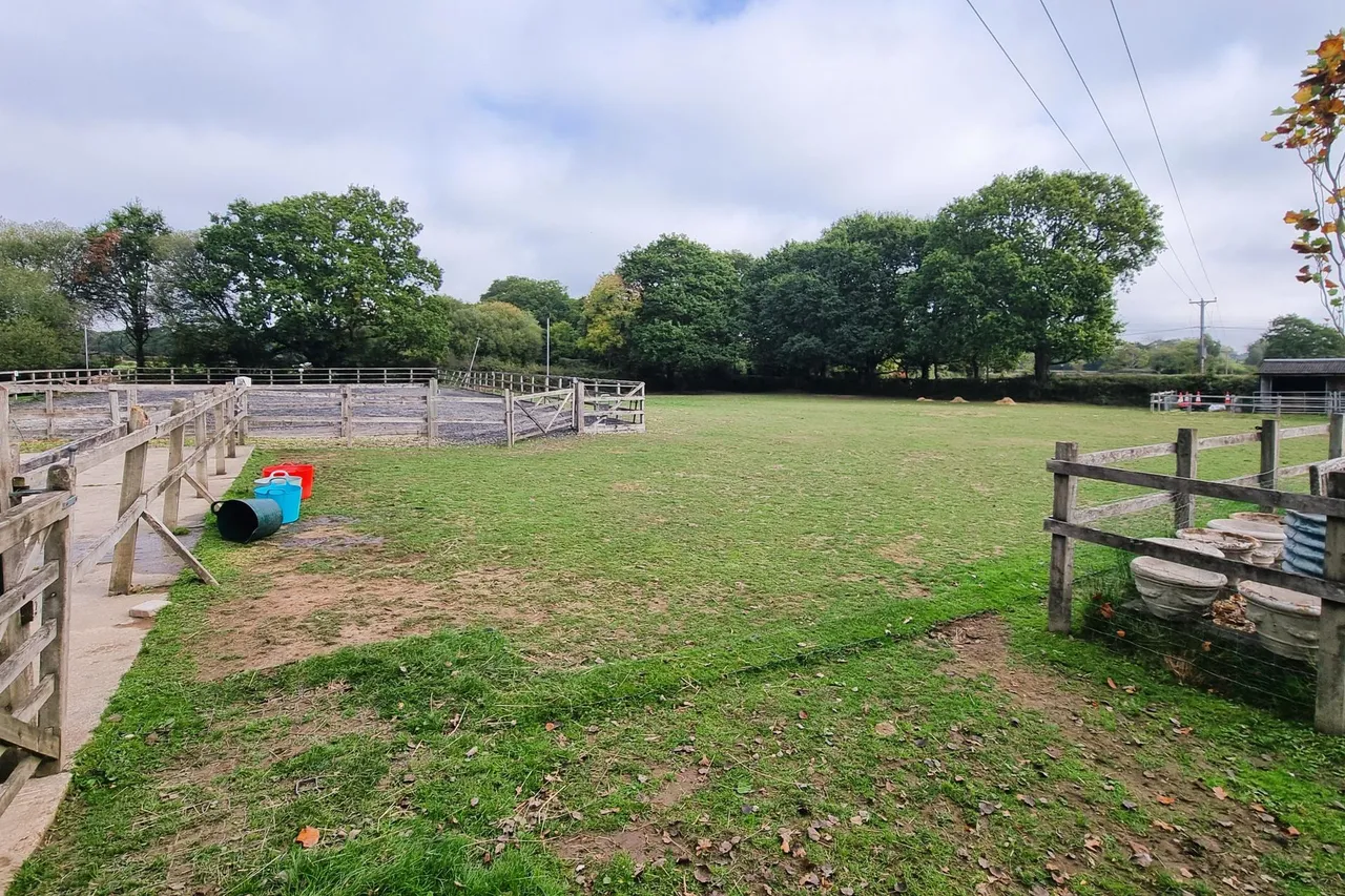 Hambledon, Hampshire, photo 39