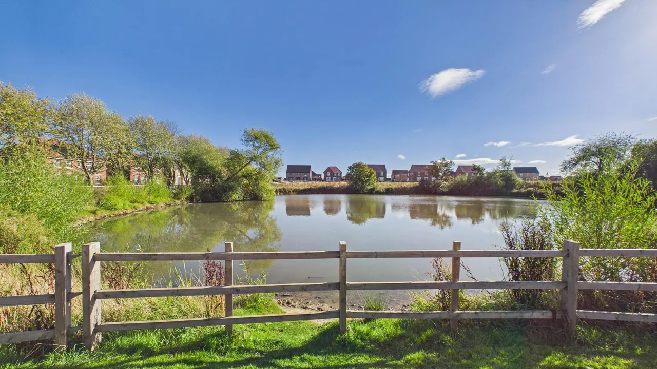 Wand Avenue, Bourne, PE10, photo 16