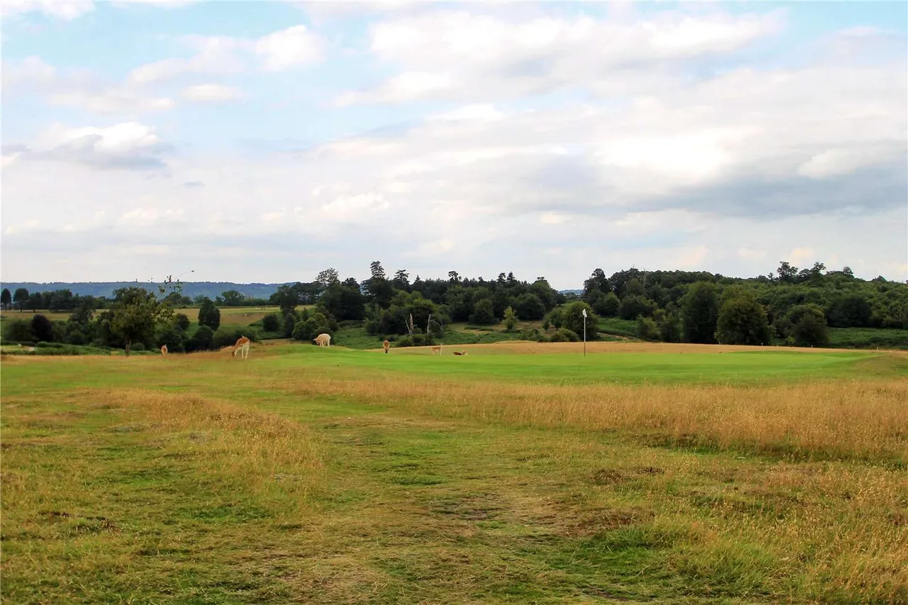 Serpentine Road, Sevenoaks, TN13, photo 7