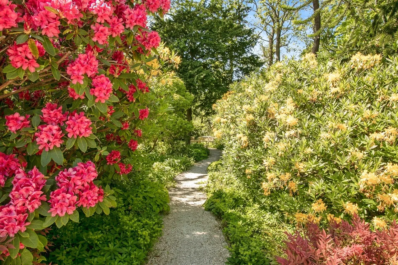 Lindsay Road, Branksome Park, BH13, photo 17