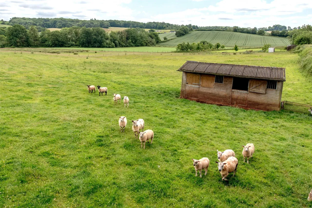 Nr Wiveliscombe, Taunton, photo 12