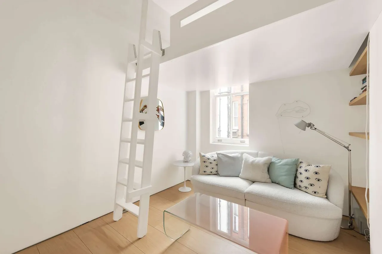 Cheyne Walk, London, SW3 5LS, photo 11