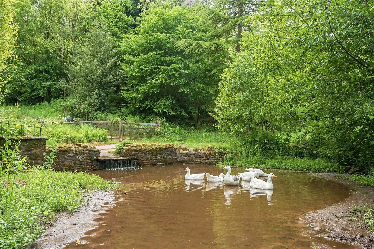 Tregoyd, Brecon, photo 30