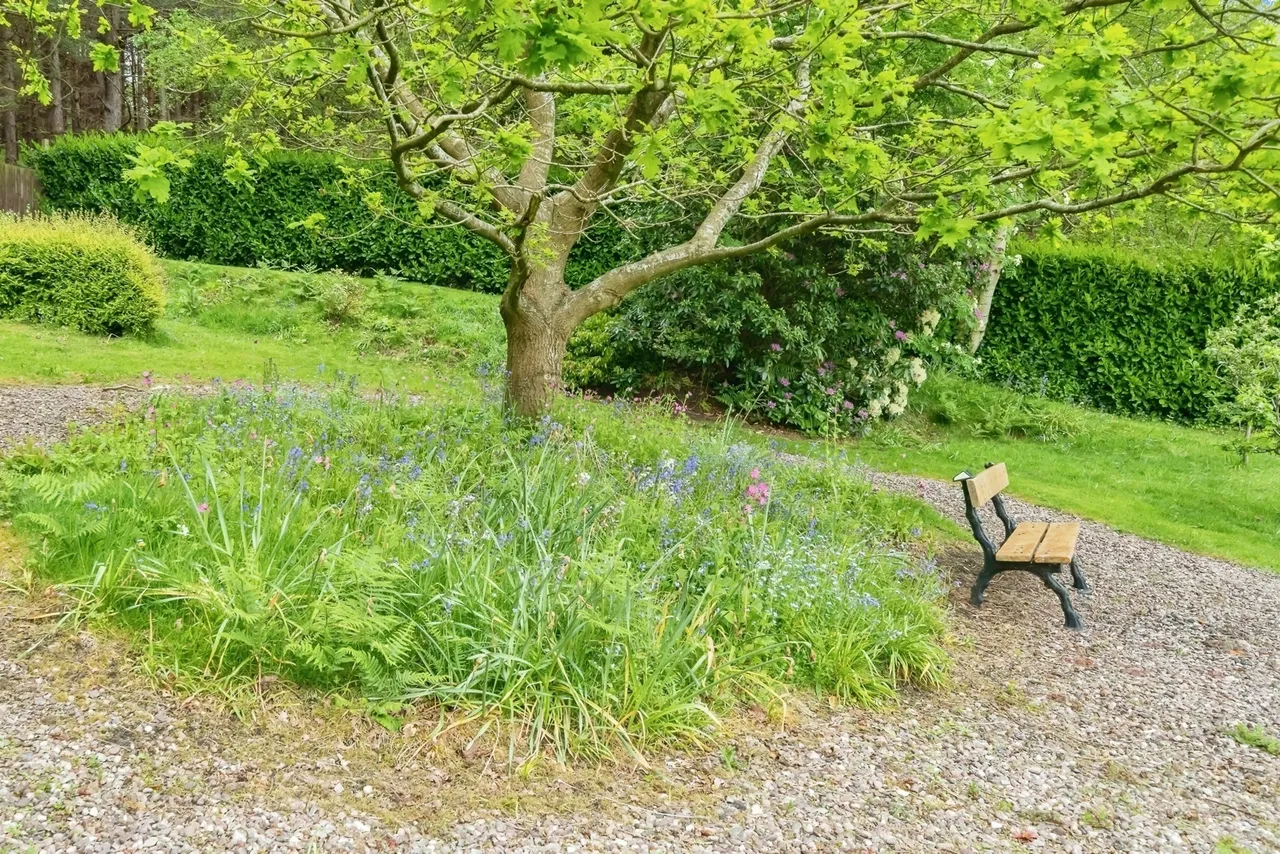 Delph Lane, WARRINGTON, Cheshire, WA4, photo 37