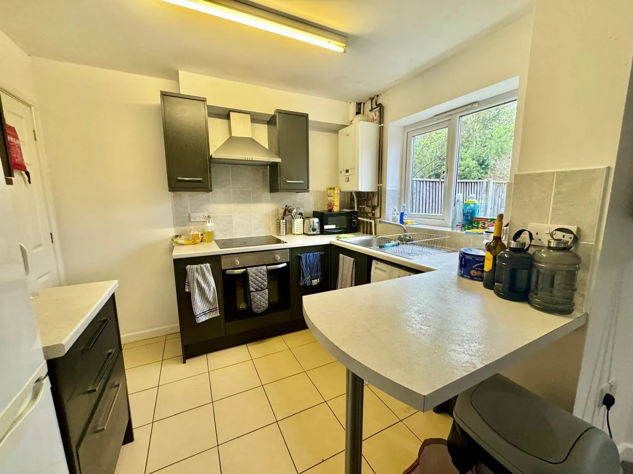 Filby Close, Norwich, NR5, photo 5