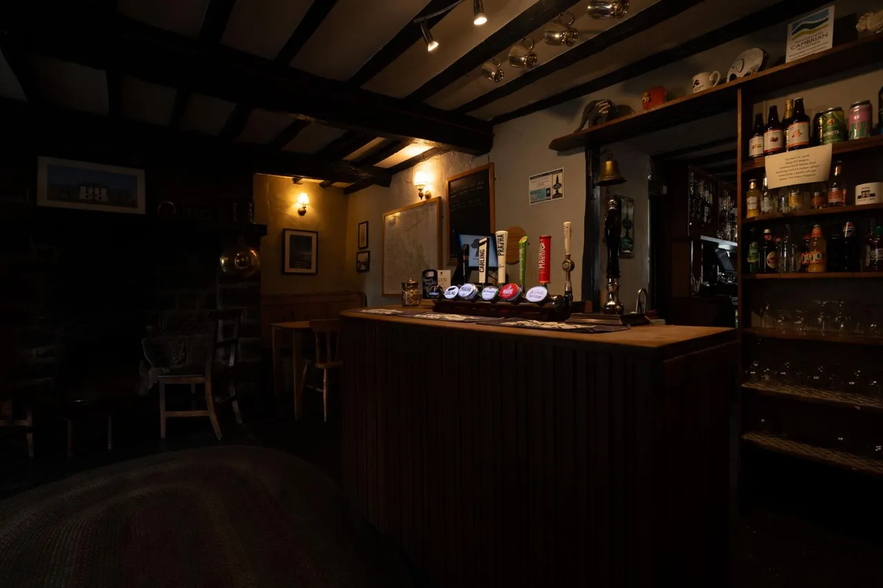 The Square, Tregaron, SY25, photo 6