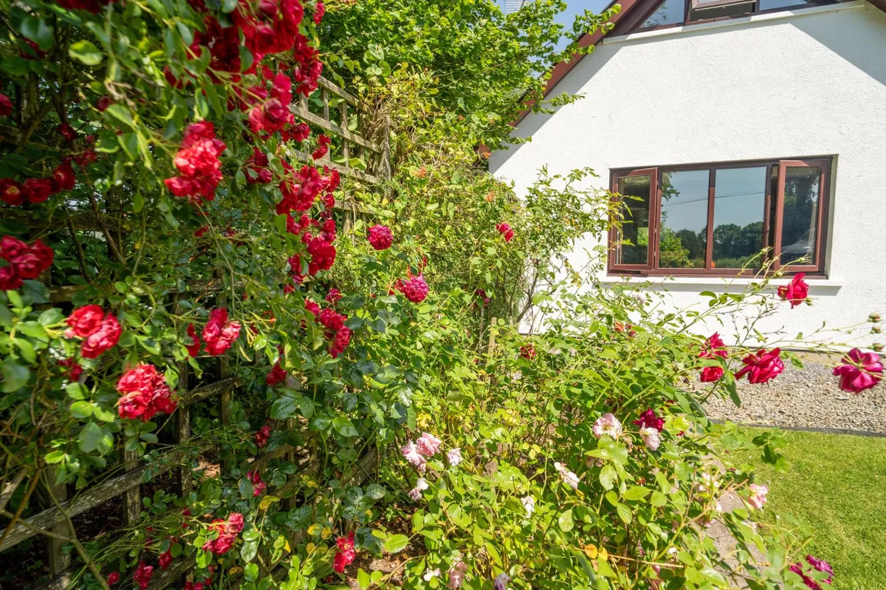 Rhydowen, Llandysul, SA44, photo 48