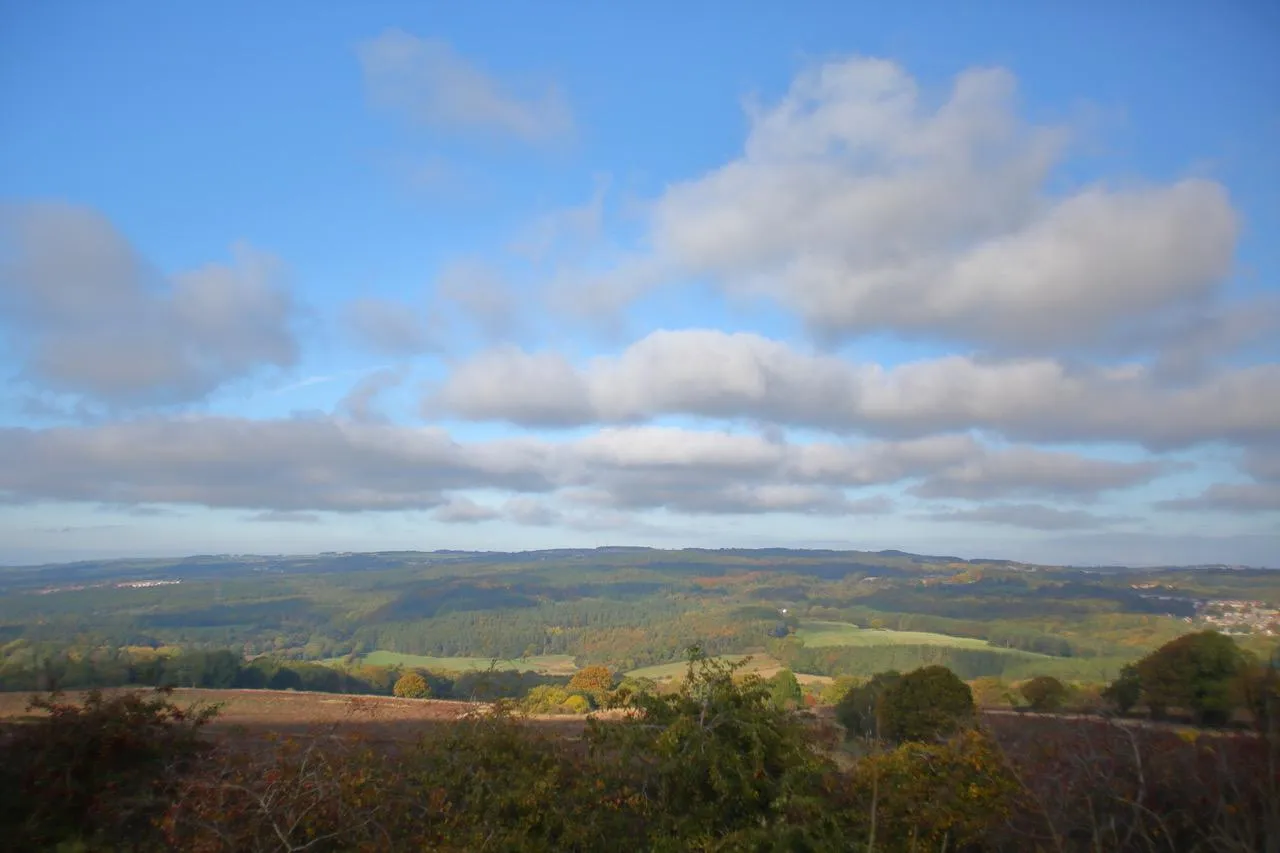 Burnopfield, Newcastle Upon Tyne, NE16, photo 9